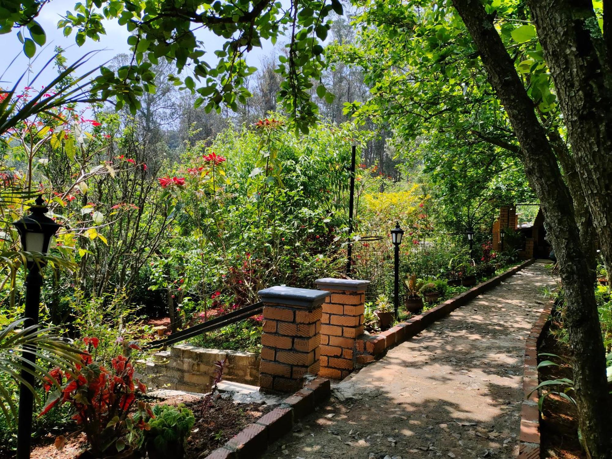 Pear Tree Entire 2Bhk Villa Kotagiri Ngoại thất bức ảnh