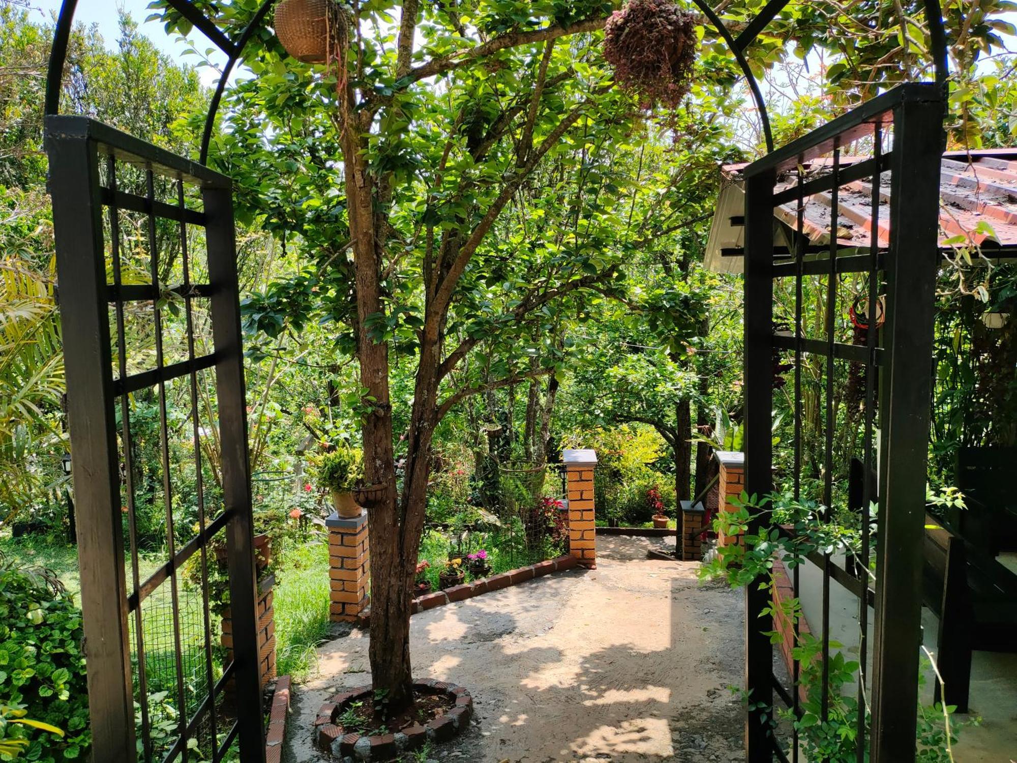 Pear Tree Entire 2Bhk Villa Kotagiri Ngoại thất bức ảnh