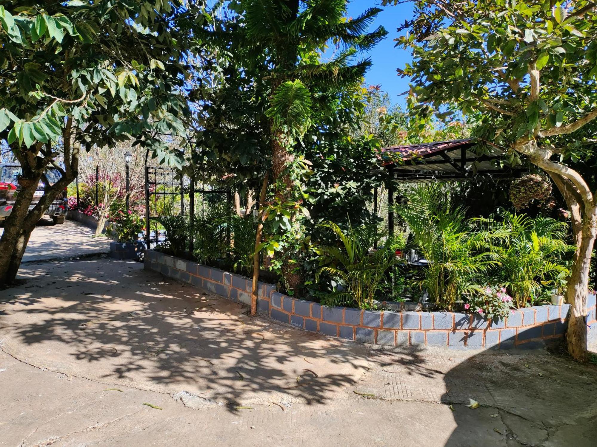 Pear Tree Entire 2Bhk Villa Kotagiri Ngoại thất bức ảnh