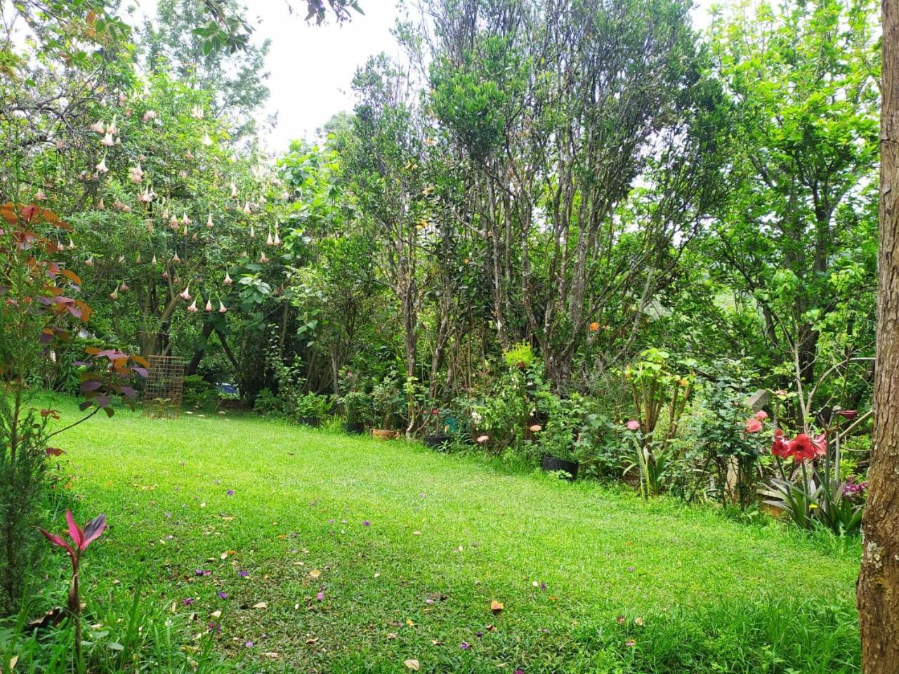 Pear Tree Entire 2Bhk Villa Kotagiri Ngoại thất bức ảnh